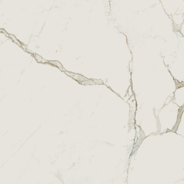 Vloertegel Exigo Calacatta gepolijst 60x60 rett