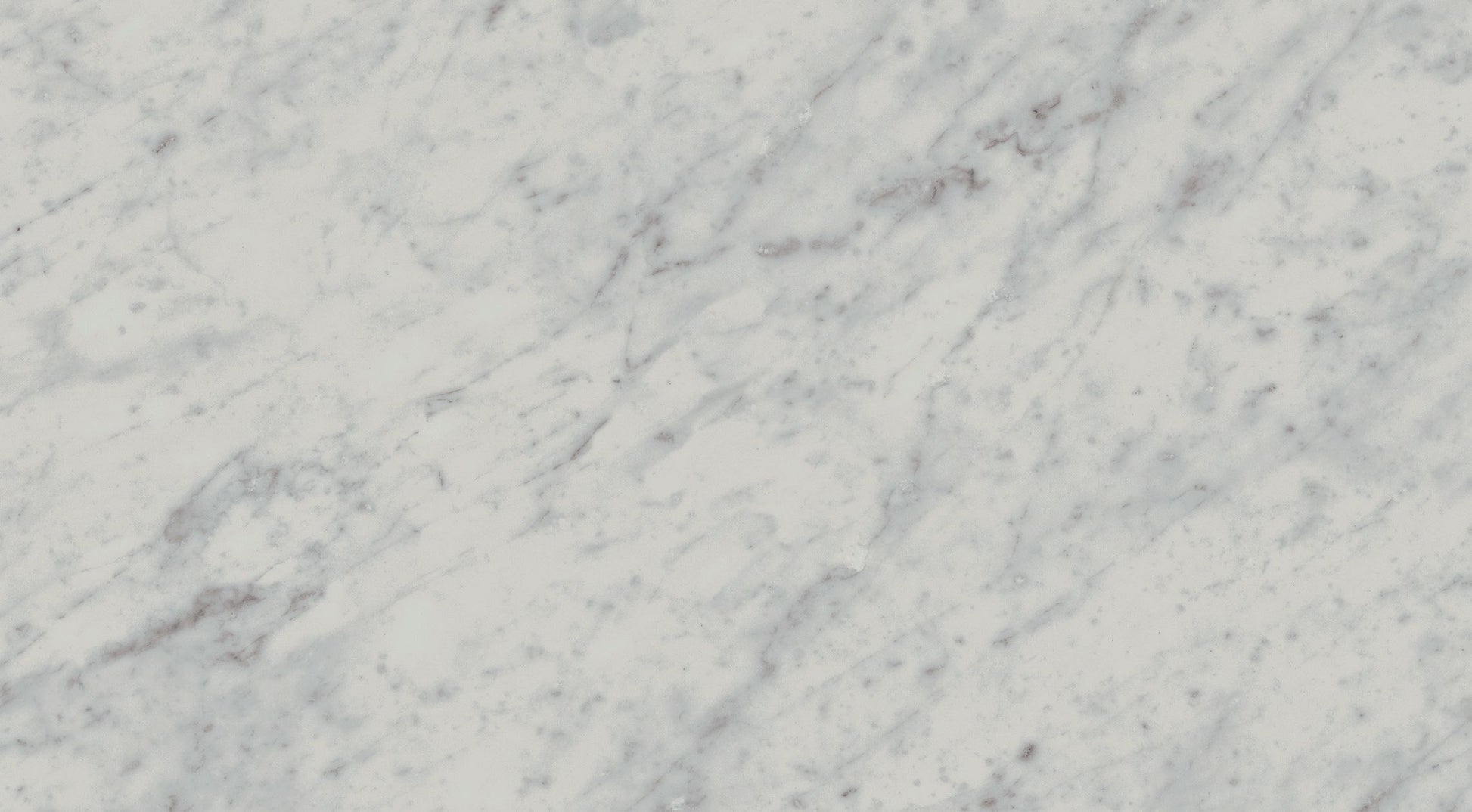 Exigo Carrara wandtegel gepolijst 30,5x56 rett - WDtegels
