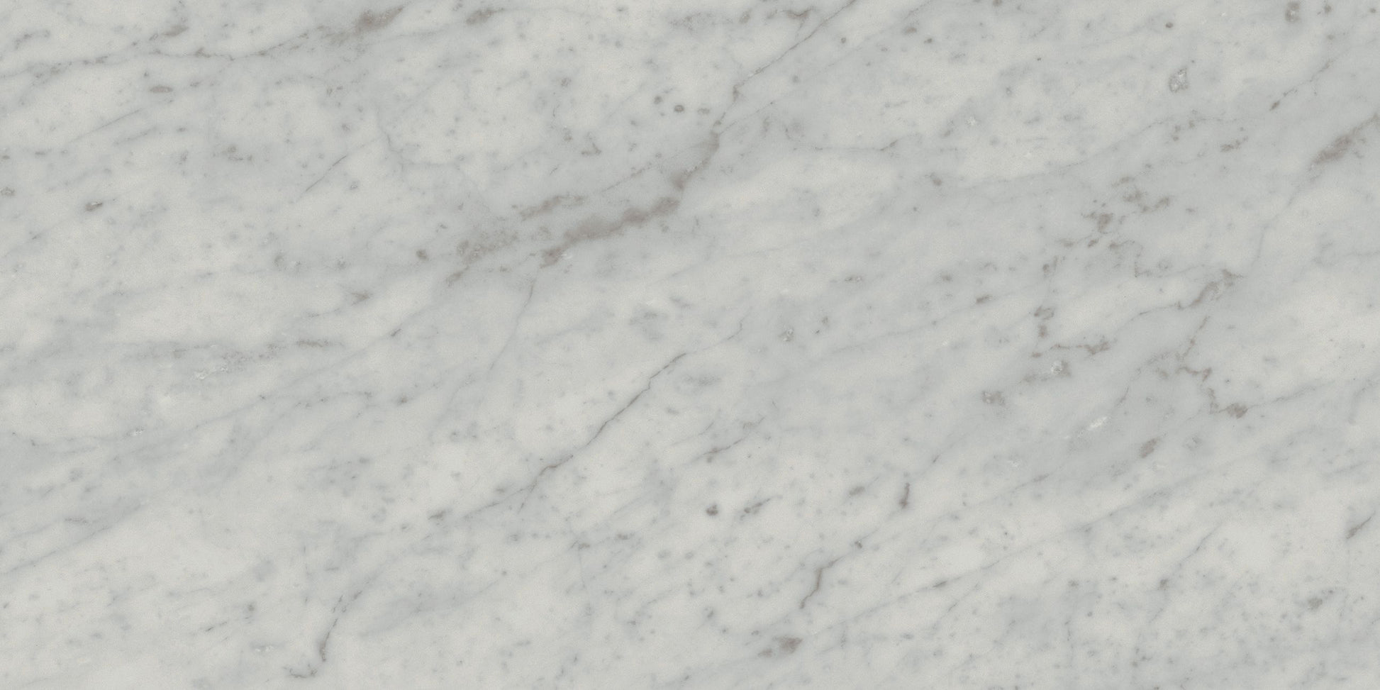 Exigo Carrara mat 30x60 rett - WDtegels