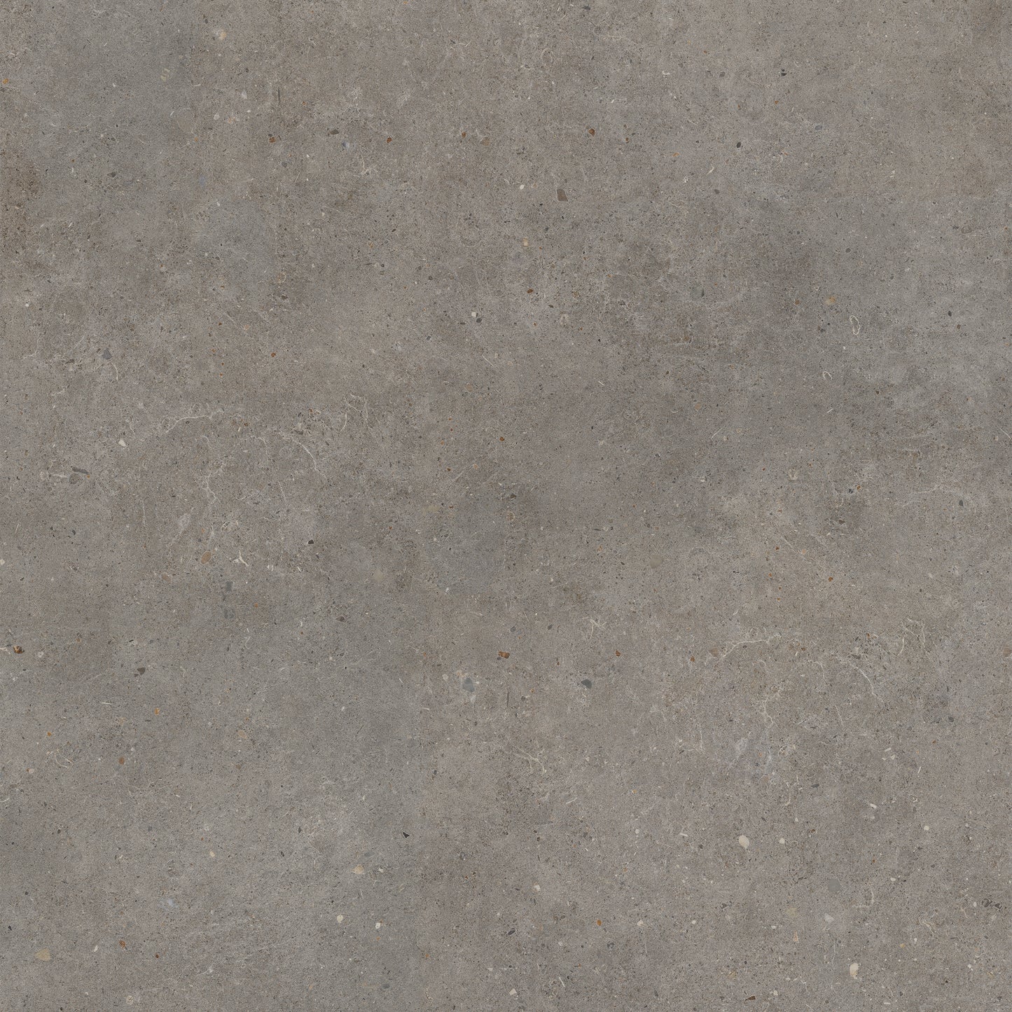 Vloertegel Brera Frame 60x60 rett - WDtegels