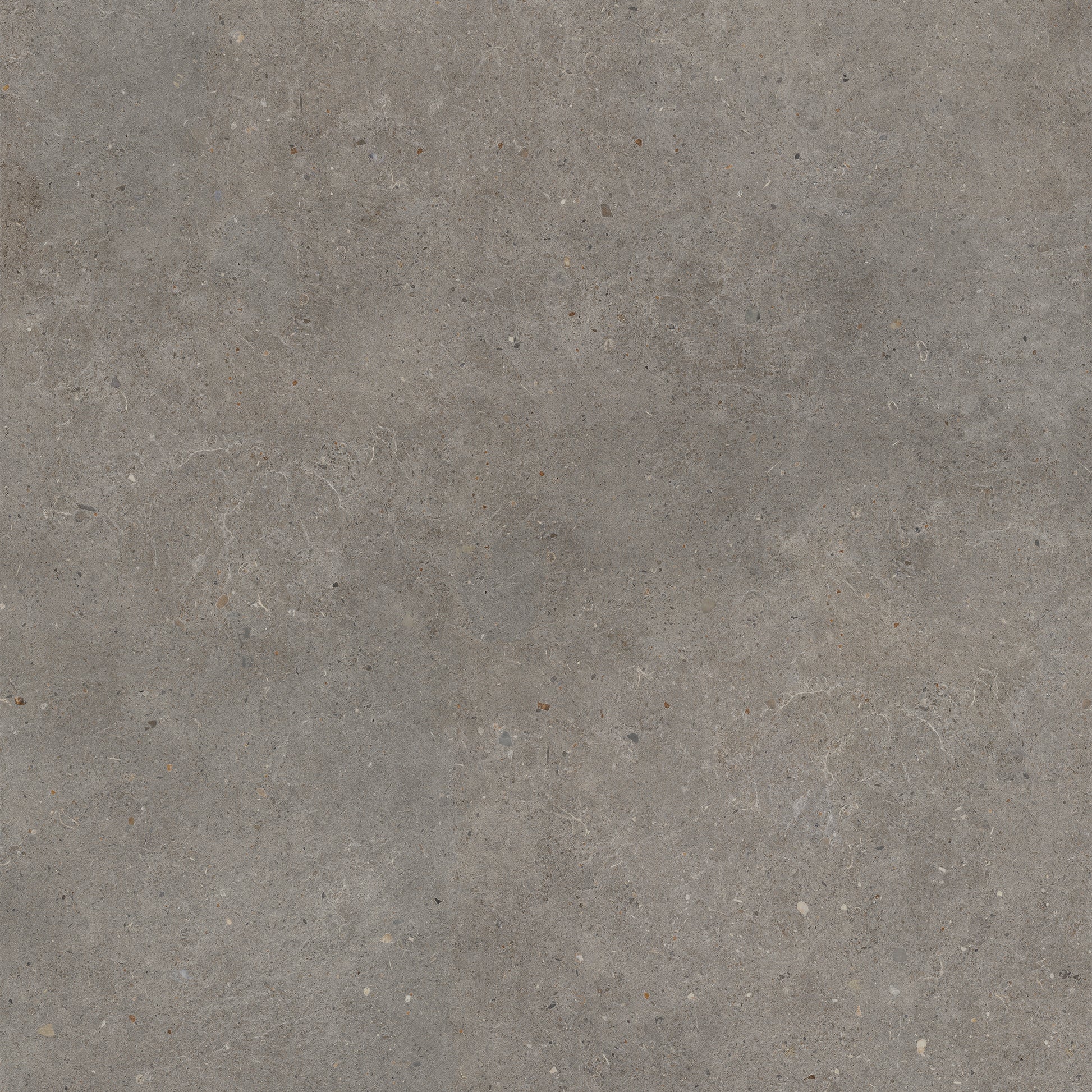 Vloertegel Brera Frame 60x60 rett - WDtegels