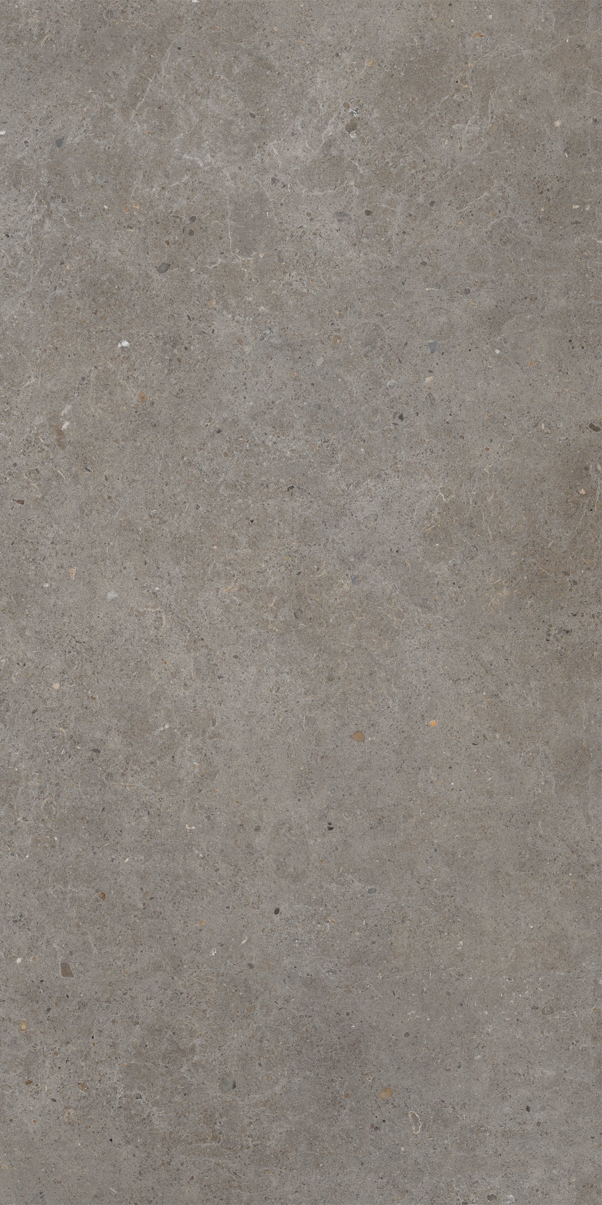 Vloertegel Brera Frame 60x120 rett - WDtegels