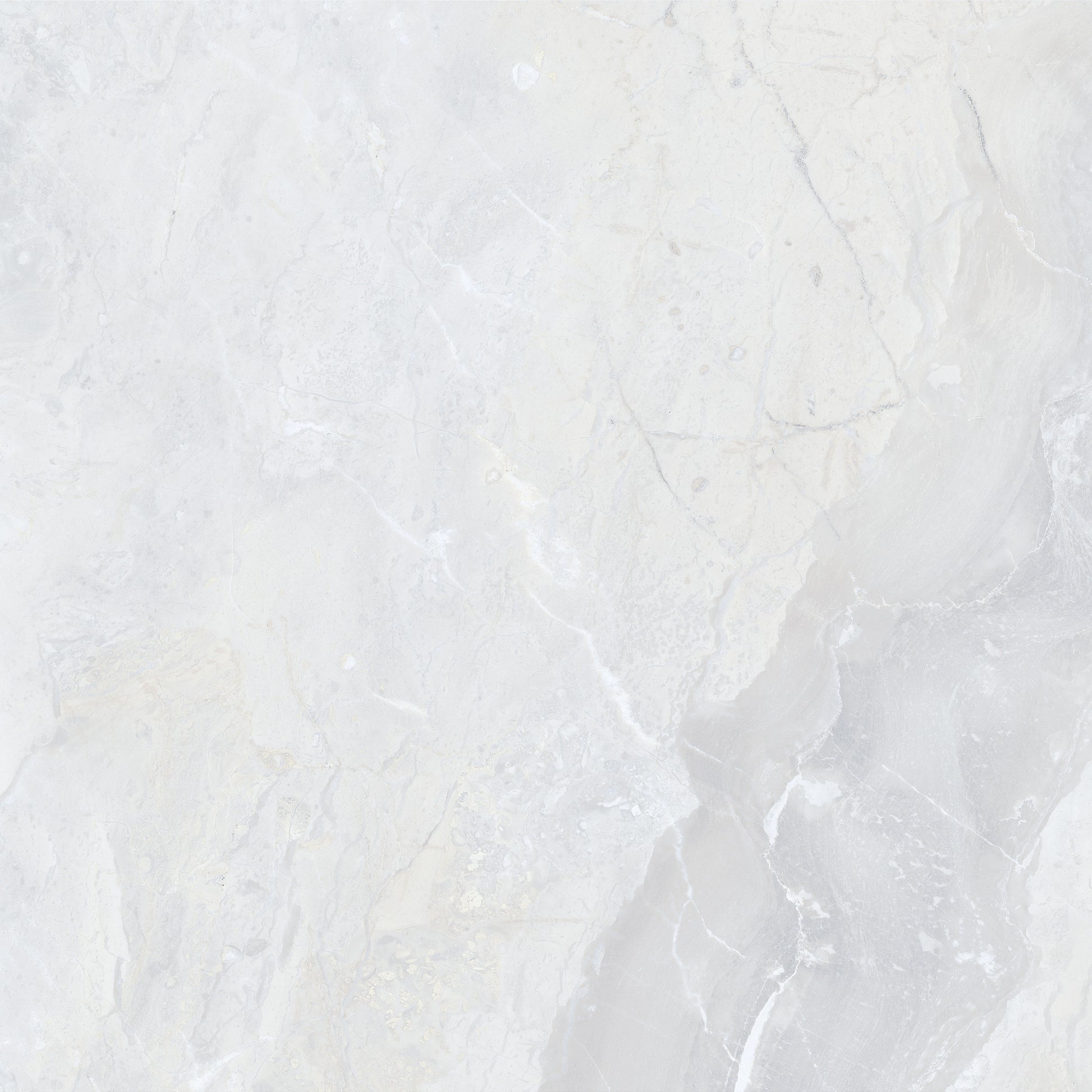 Vloertegel Luxury White glans 60x60 - WDtegels