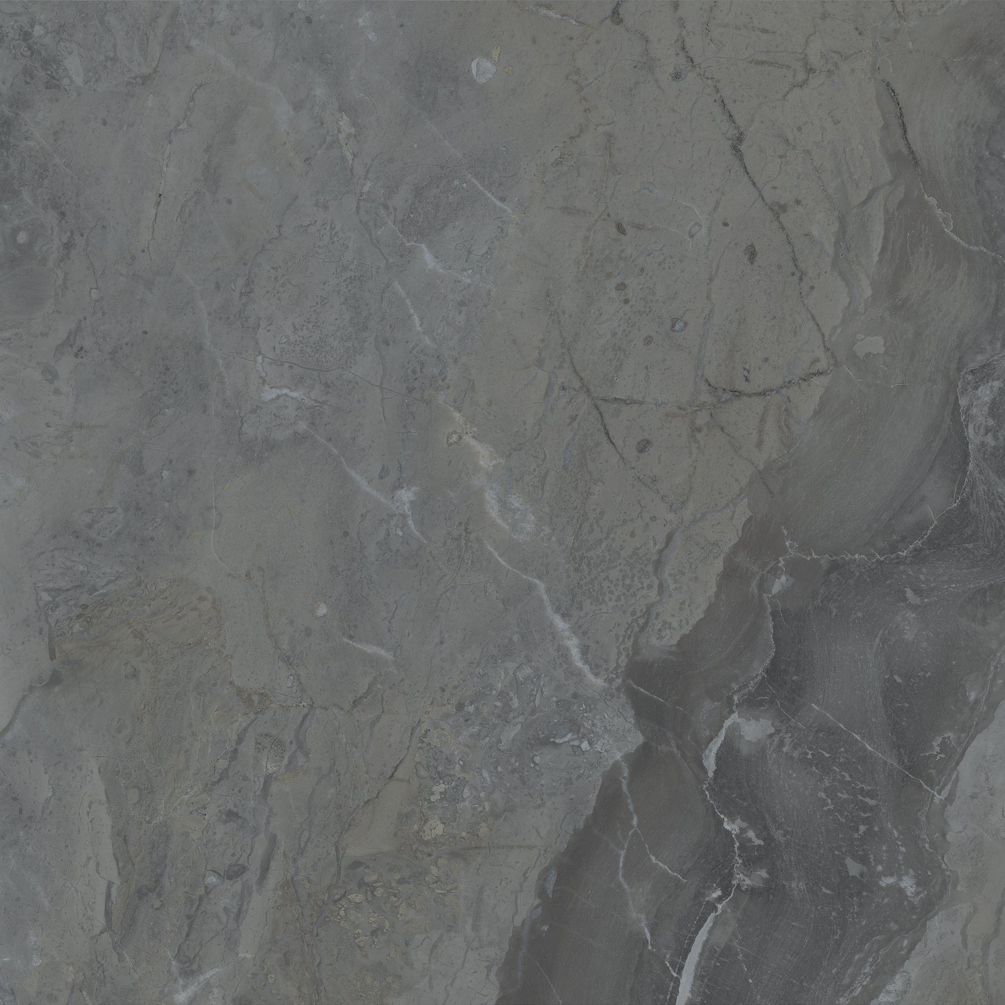 Vloertegel Luxury Dark glans 60x60 - WDtegels