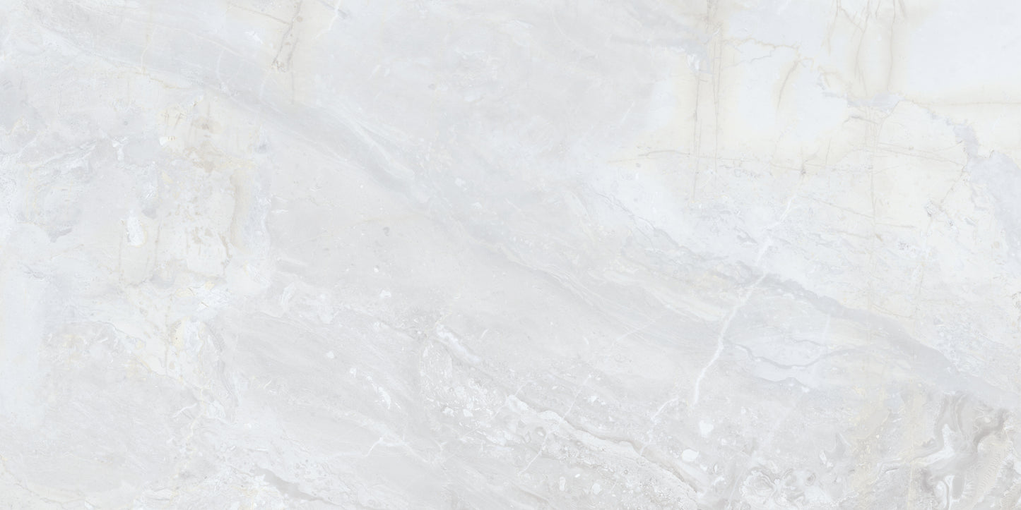 Vloertegel Luxury White gepolijst 60x120 rett - WDtegels