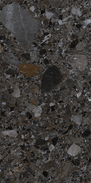 Vloertegel Inlay Dark gepolijst 60x120 rett