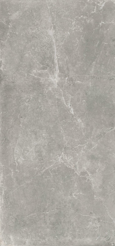 Slab Concept Grey mat 120x260 rett