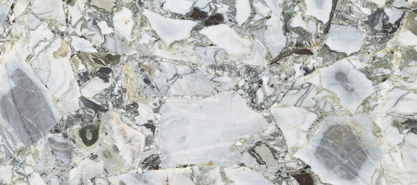 Vloertegel White Beauty gepolijst 60x120 rett