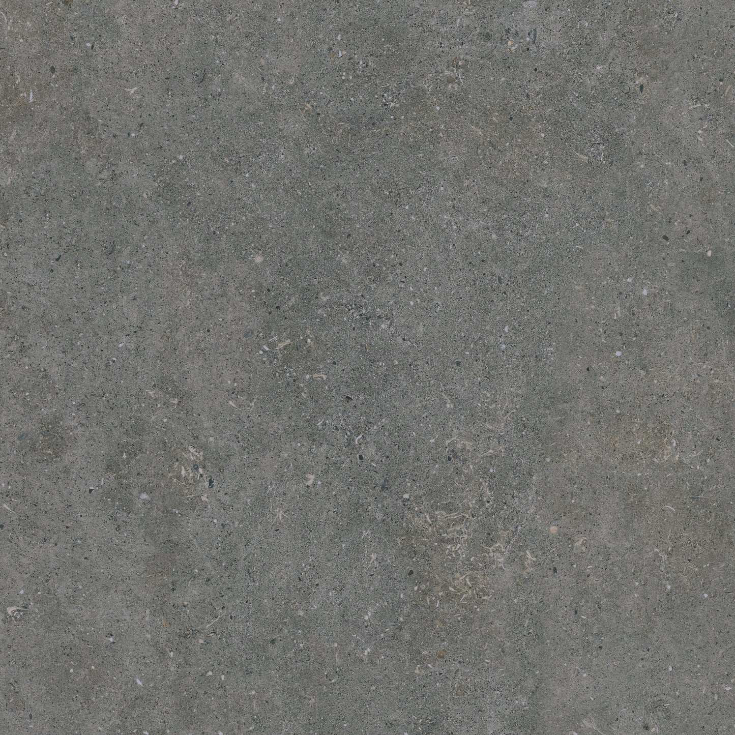 Terrastegel Acron Anthracite 60x60 rett 20mm