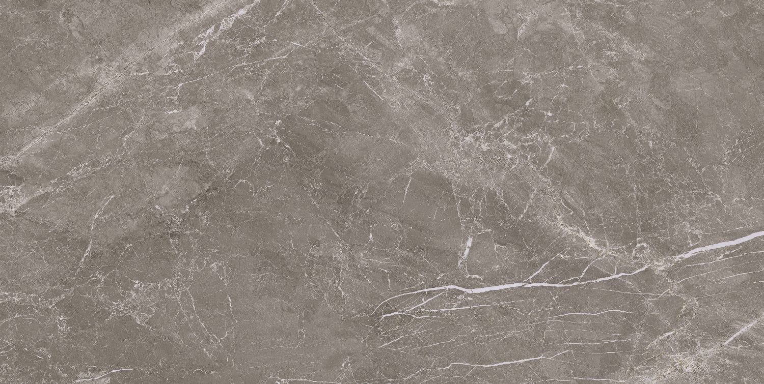 Fior di Bosco Noce silk 60x120 rett - WDtegels