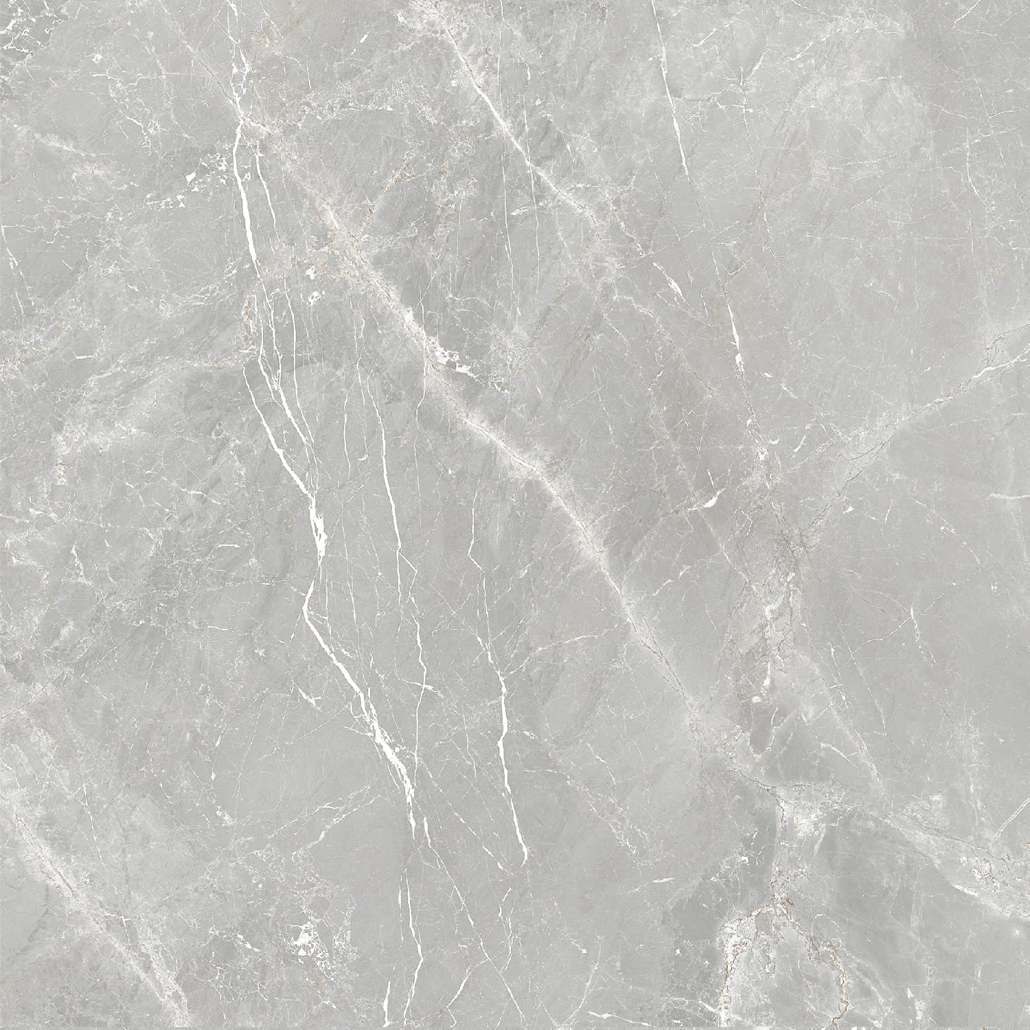 Vloertegel Fior di Bosco Perla silk 60x60 rett - WDtegels