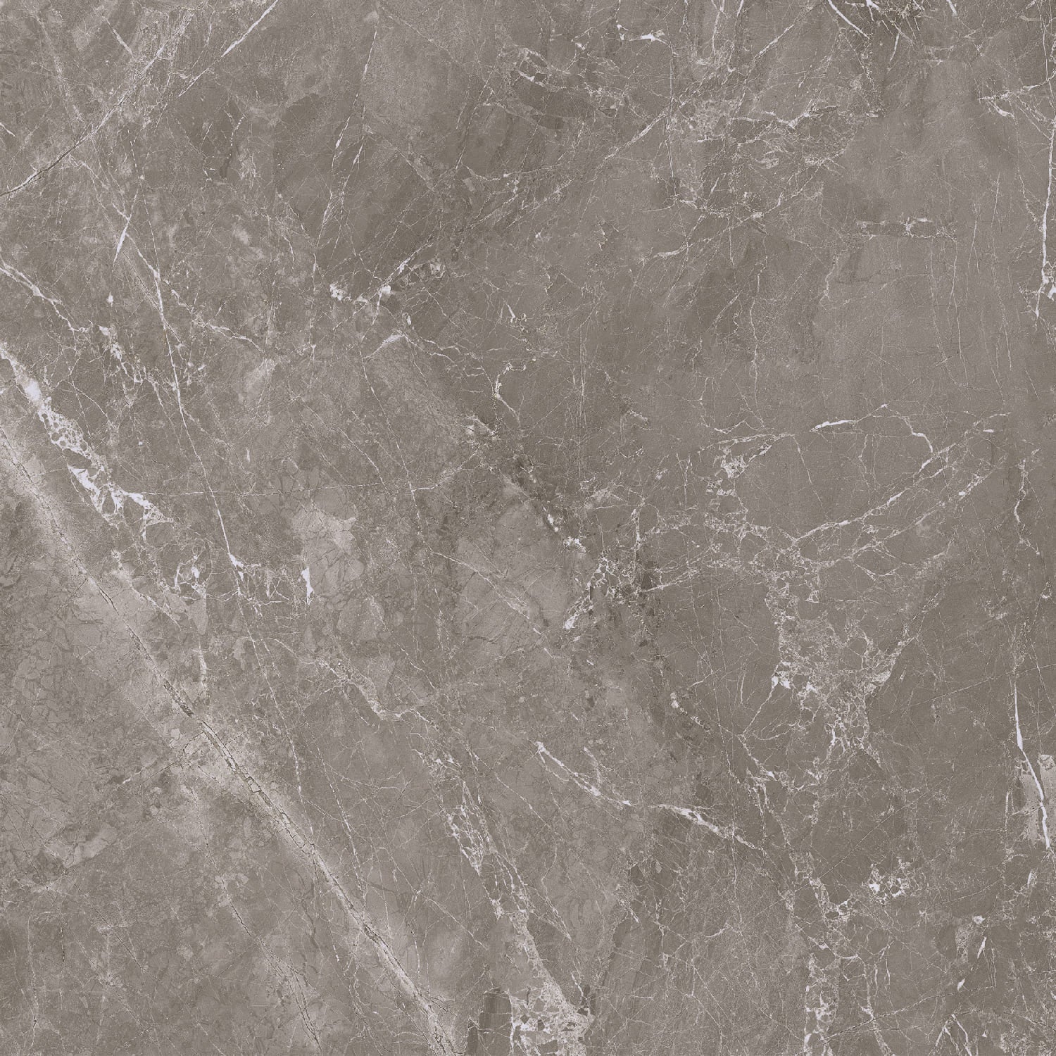 Fior di Bosco Noce silk 60x60 rett - WDtegels