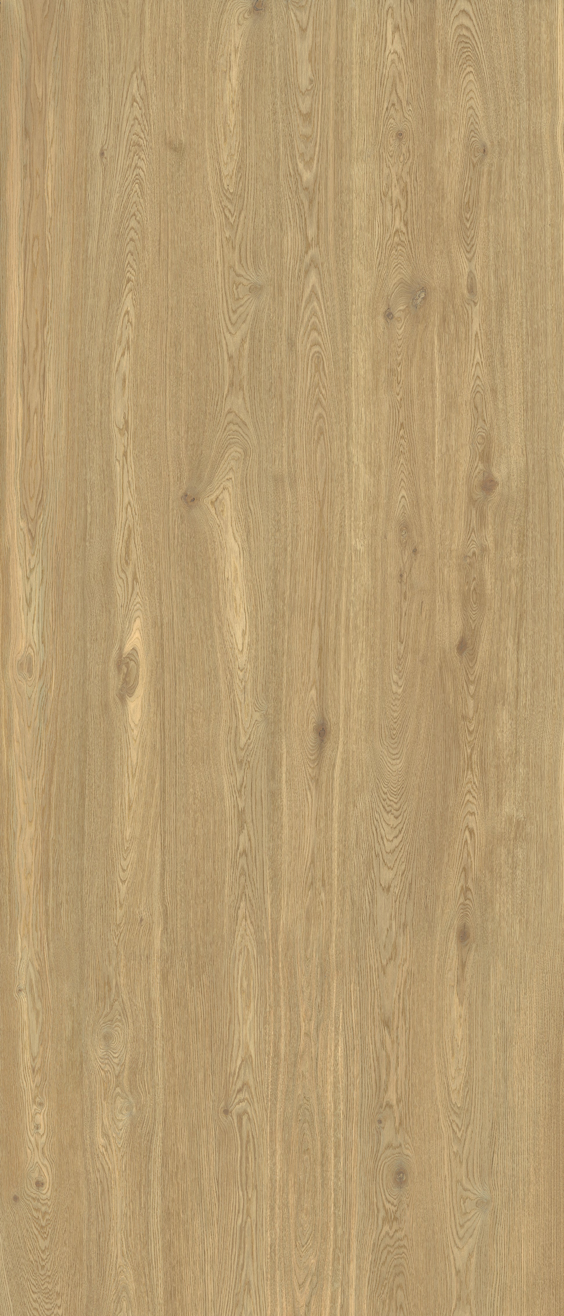 Slab Woodwise Auburn 6mm 120x280 rett - WDtegels