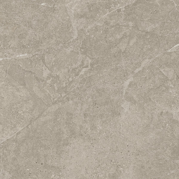 Duolith Fossil 60x60 rett