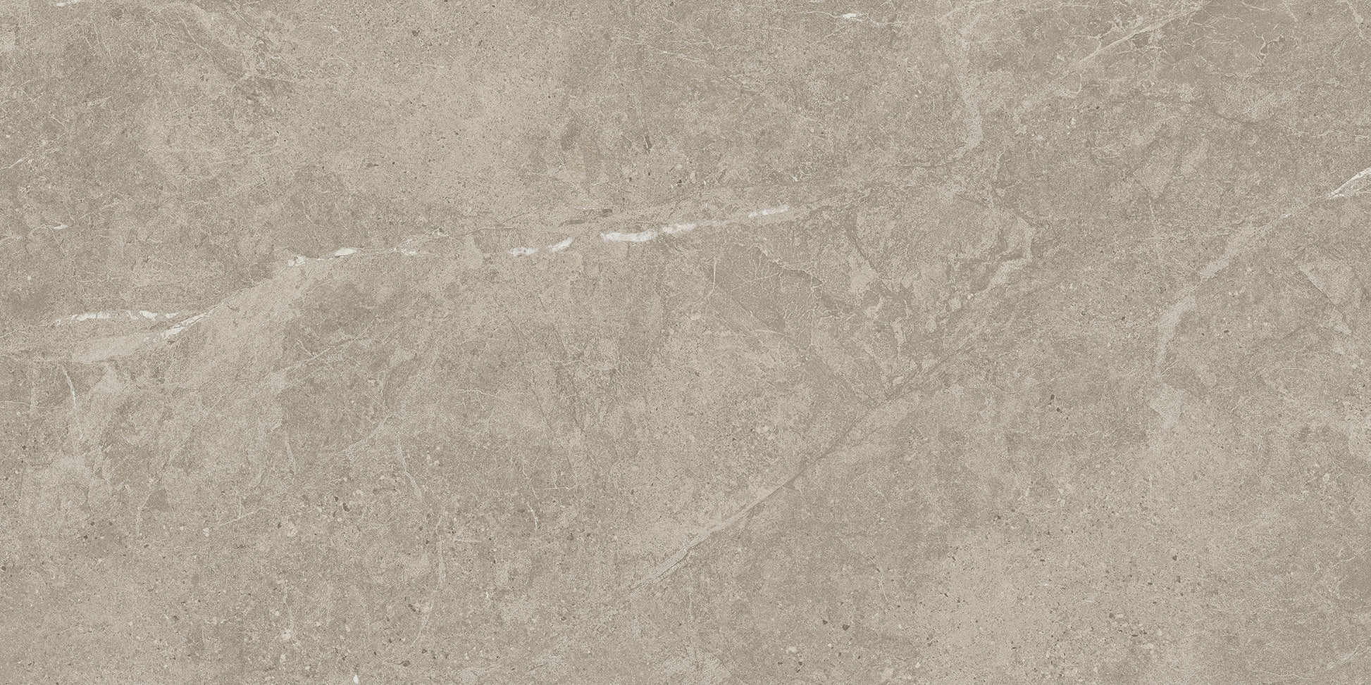 Duolith Fossil 60x120 rett - WDtegels