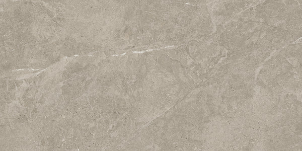 Duolith Fossil 60x120 rett
