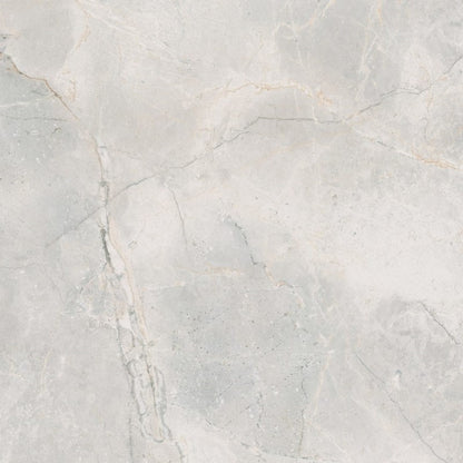 Vloer- en wandtegel Masterstone White gepolijst 60x60 rett - foto 4