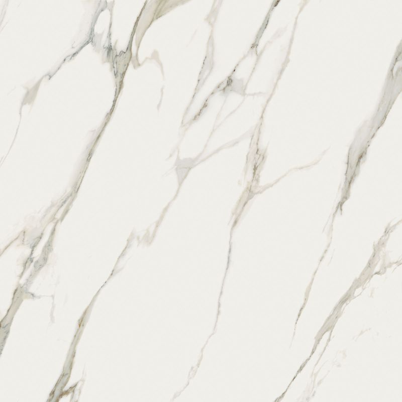 Vloer- en wandtegel Siana Calacatta Naturale 120x120 rett
