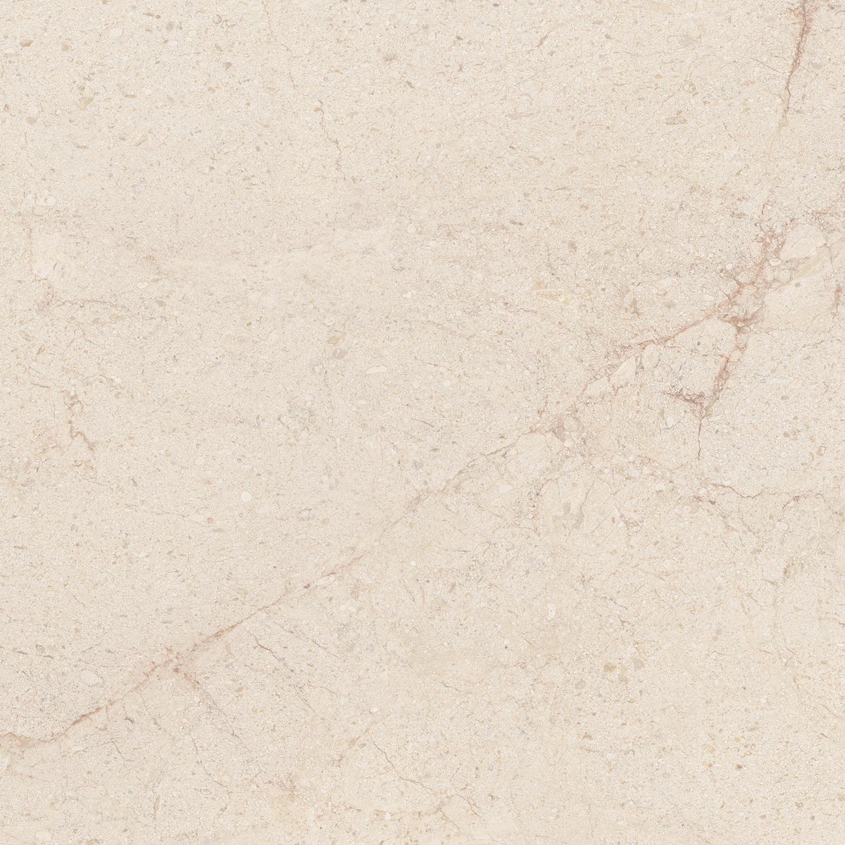 Vloer- en wandtegel Tudor Almond 120x120 rett