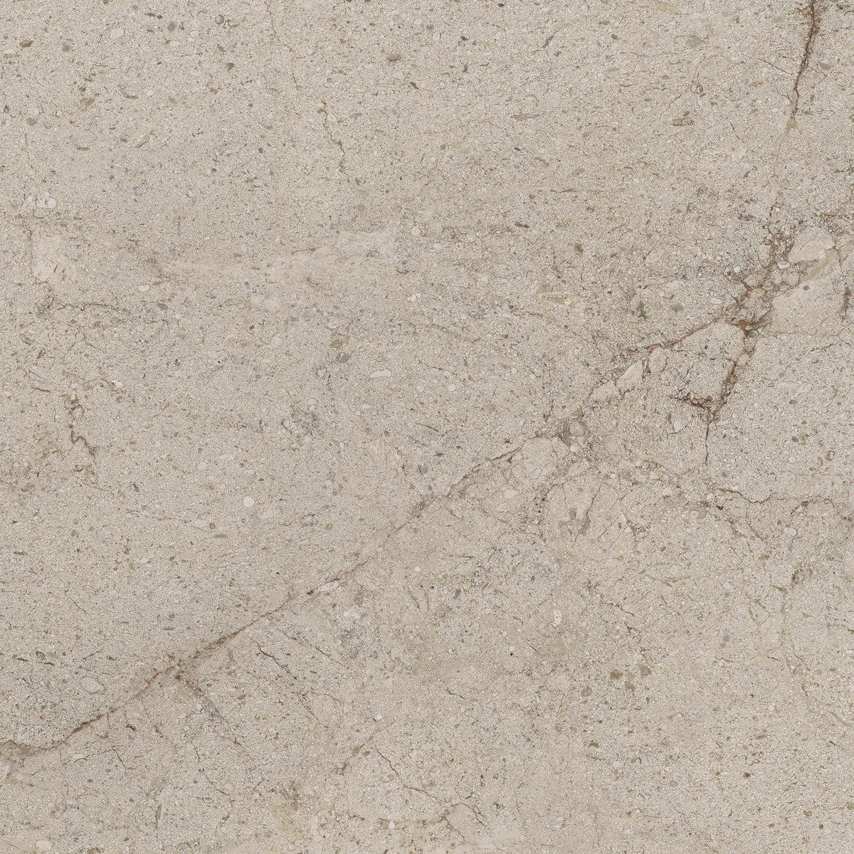 Vloer- en wandtegel Tudor Greige 90x90 rett