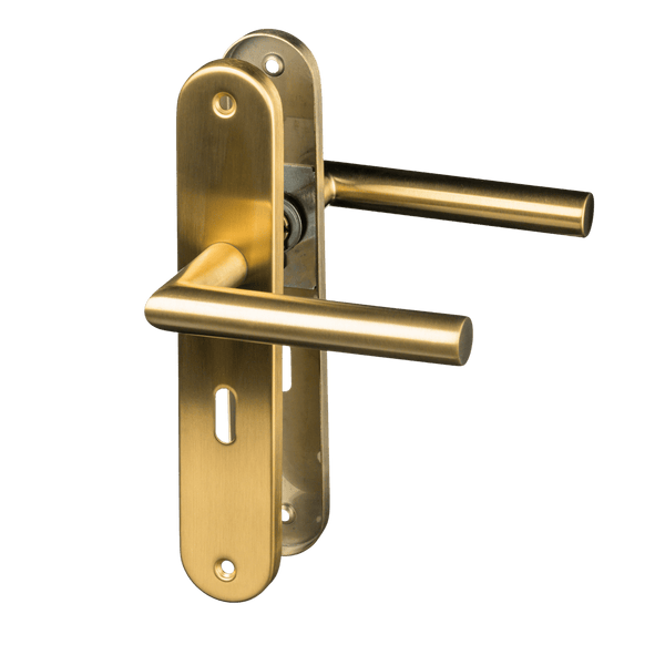 Andria - Gouden Deurklink Sleutelgat Rond Lang Schild - SL 56mm