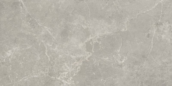 Concept Grey gepolijst 60x120 rett