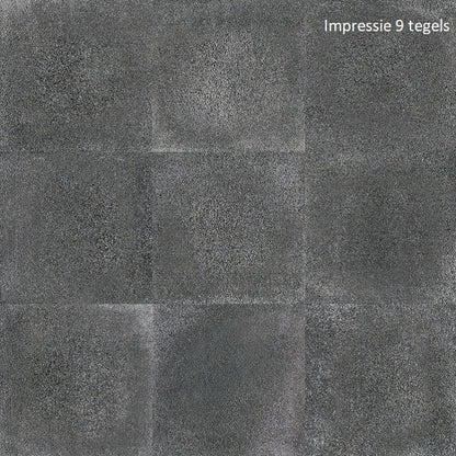 Beton Antraciet 60x60 vloertegels / wandtegels