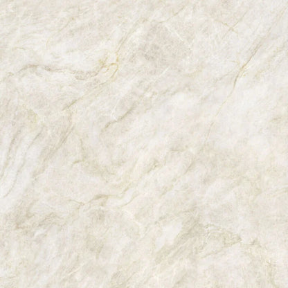 Taj Mahal Nature gepolijst 120x120 rett - WDtegels