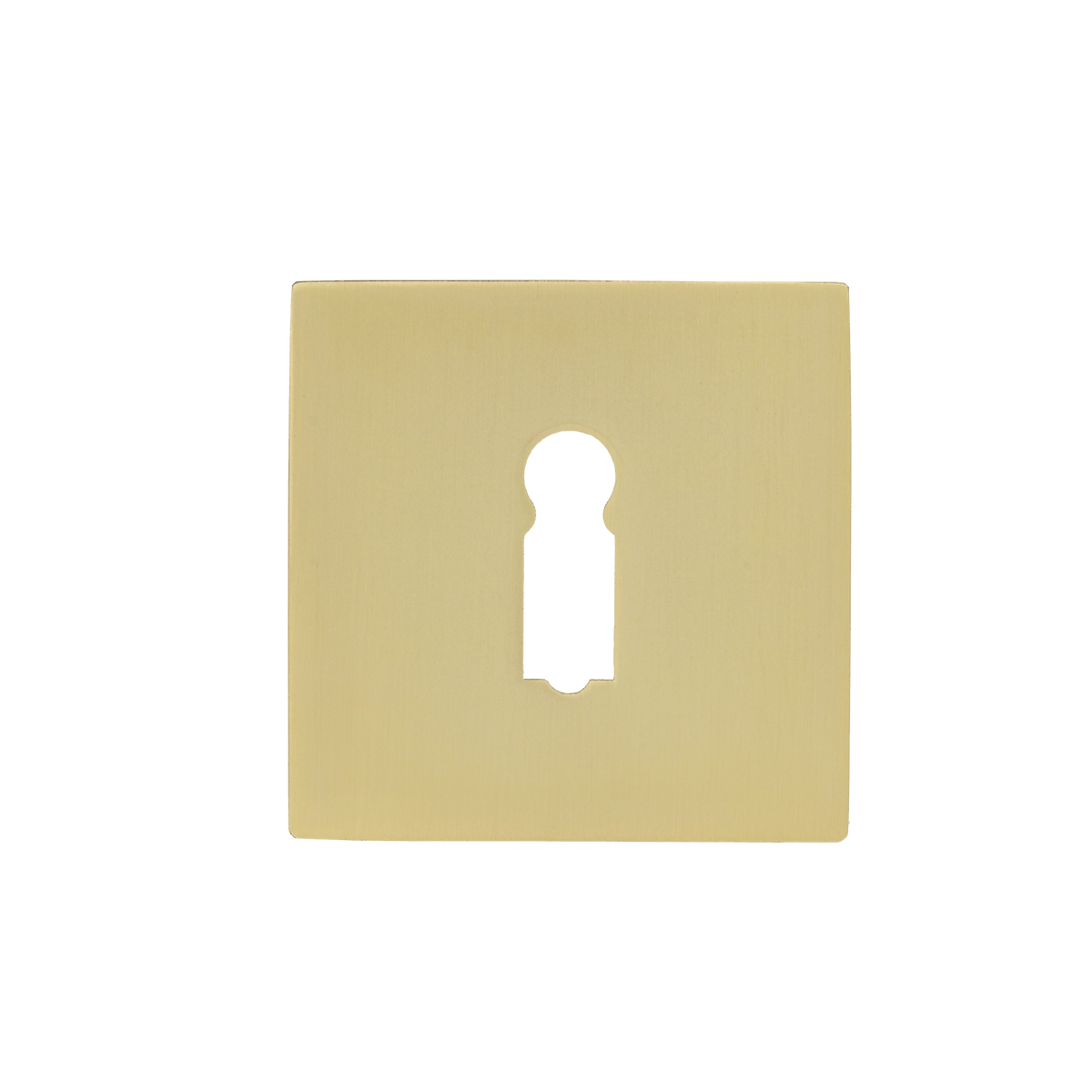 Vierkant sleutelrozet in goud