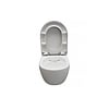 Wandcloset Easy Flush standaard - WDtegels